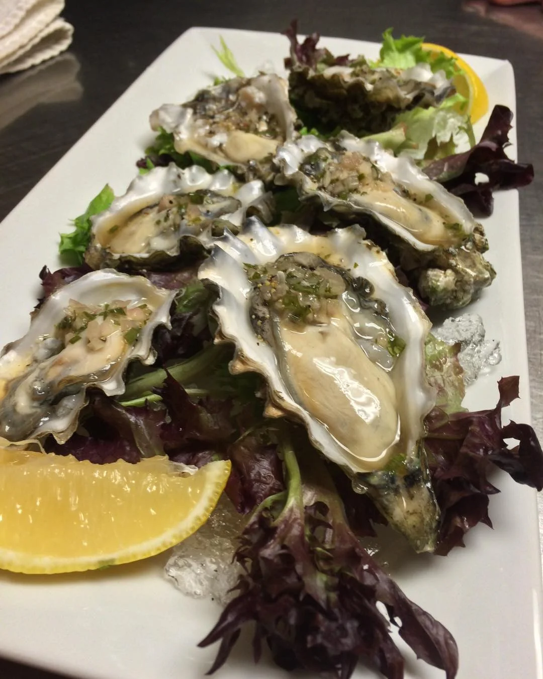 Oysters